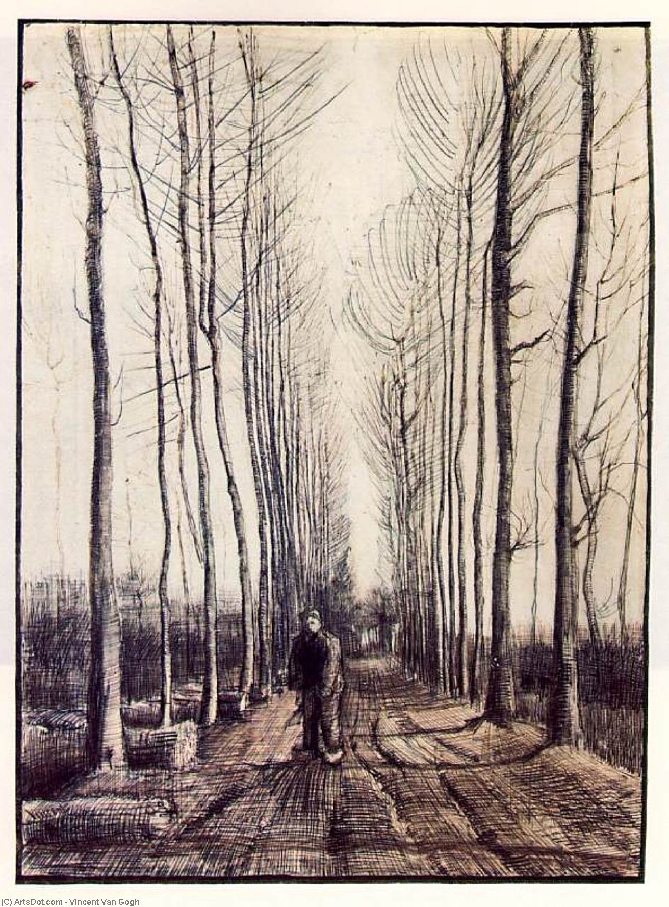 WikiOO.org - Encyclopedia of Fine Arts - Festés, Grafika Vincent Van Gogh - Poplar Trees