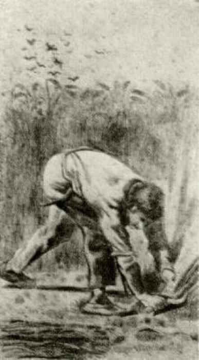 Wikioo.org - The Encyclopedia of Fine Arts - Painting, Artwork by Vincent Van Gogh - Mower after Millet