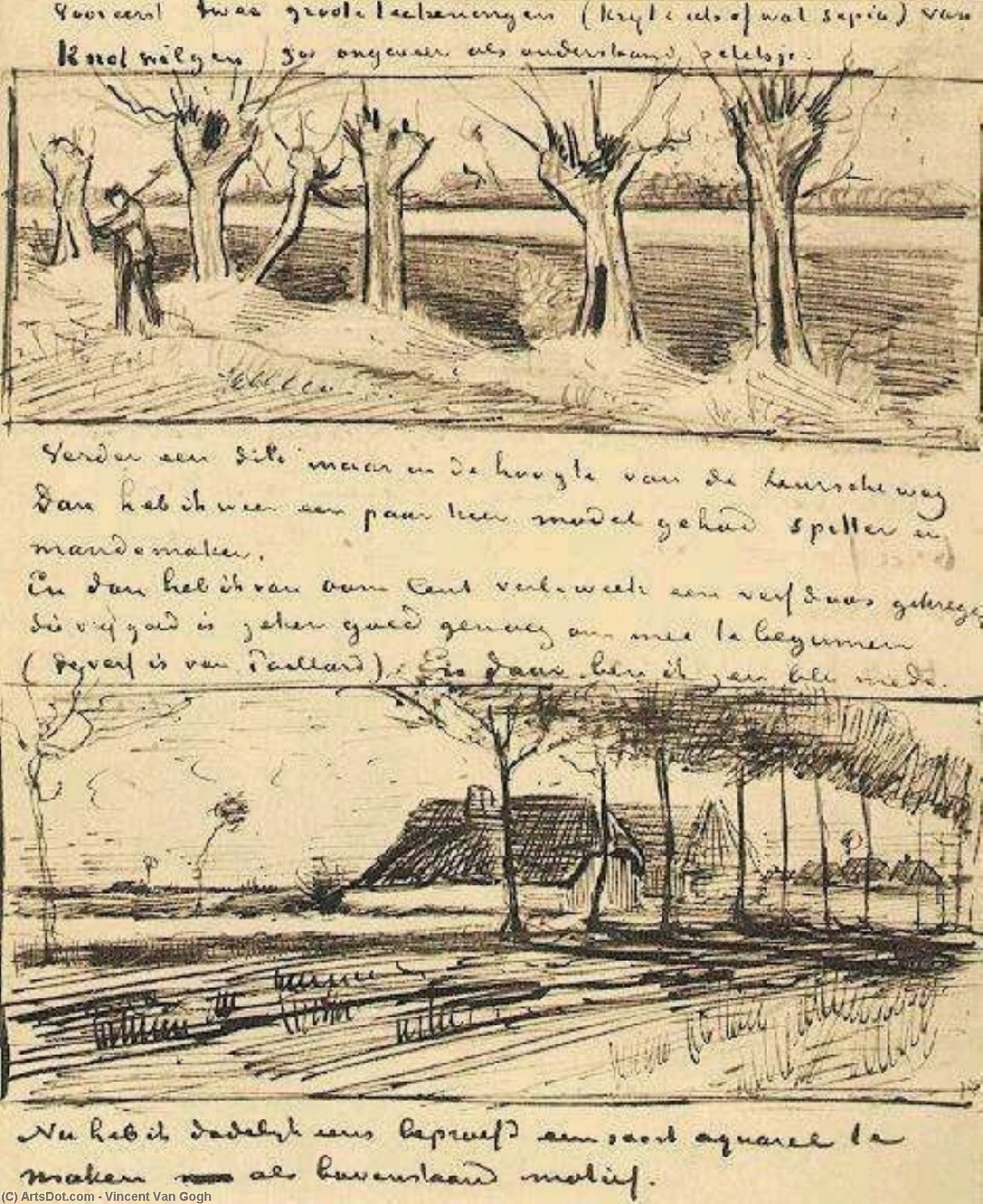 Wikoo.org - موسوعة الفنون الجميلة - اللوحة، العمل الفني Vincent Van Gogh - Road with Pollard Willows
