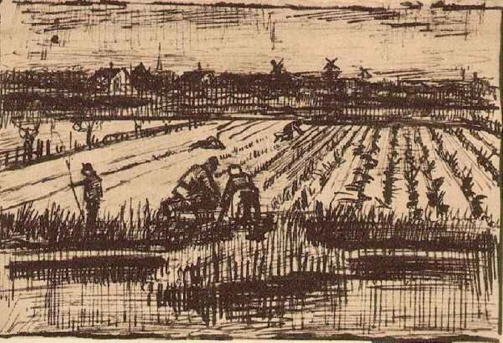 Wikoo.org - موسوعة الفنون الجميلة - اللوحة، العمل الفني Vincent Van Gogh - Potato Field