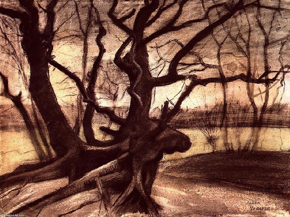 Wikioo.org - Encyklopedia Sztuk Pięknych - Malarstwo, Grafika Vincent Van Gogh - Study of a Tree