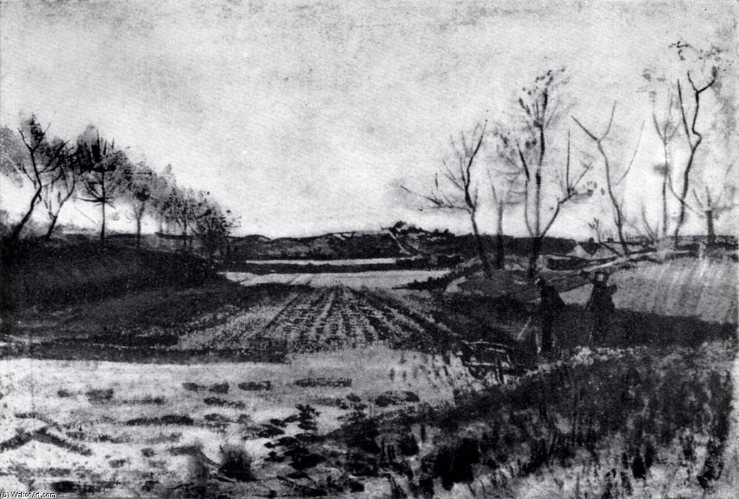 WikiOO.org - Encyclopedia of Fine Arts - Målning, konstverk Vincent Van Gogh - Potato field behind the dunes