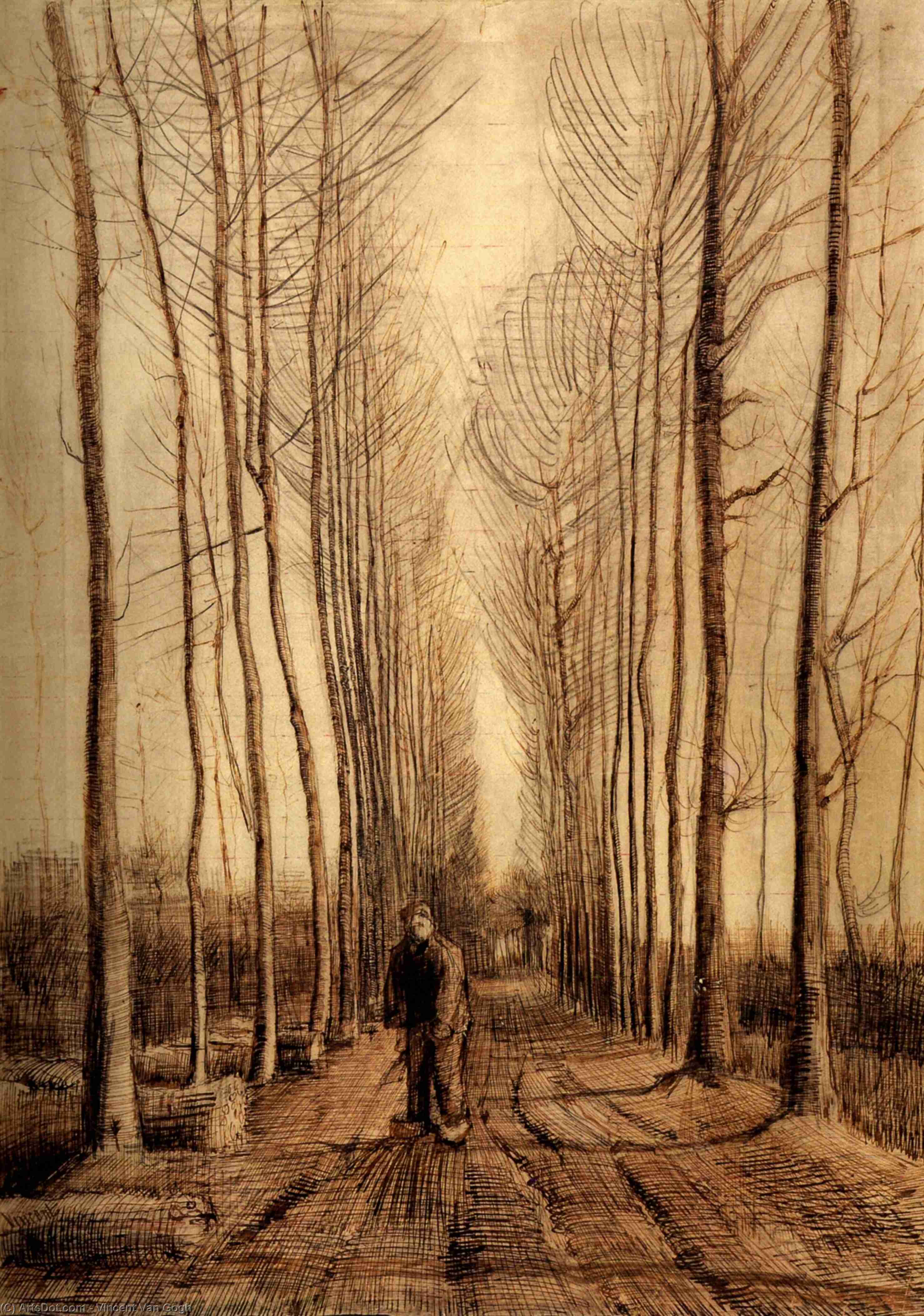 WikiOO.org - Encyclopedia of Fine Arts - Festés, Grafika Vincent Van Gogh - Avenue of Poplars