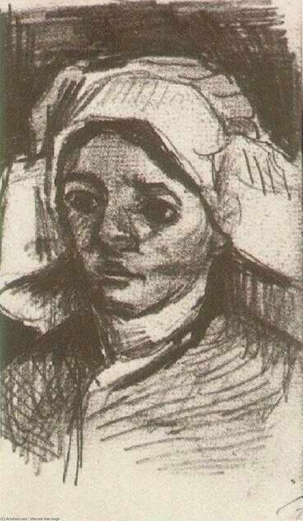 Wikioo.org - The Encyclopedia of Fine Arts - Painting, Artwork by Vincent Van Gogh - Peasant Woman, Head (12)