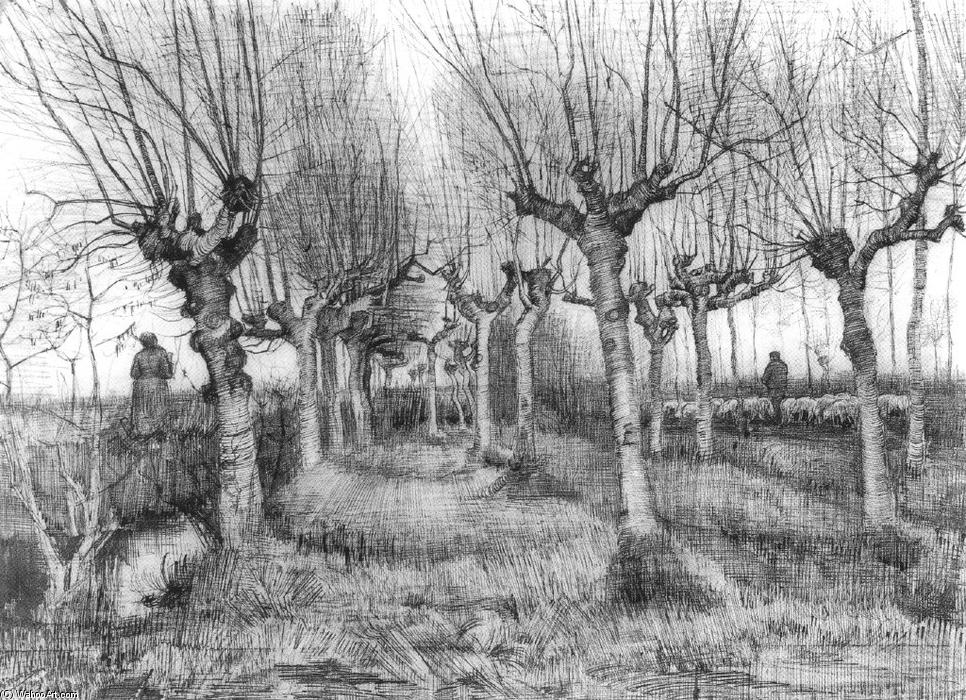 WikiOO.org - دایره المعارف هنرهای زیبا - نقاشی، آثار هنری Vincent Van Gogh - Pollard Birches