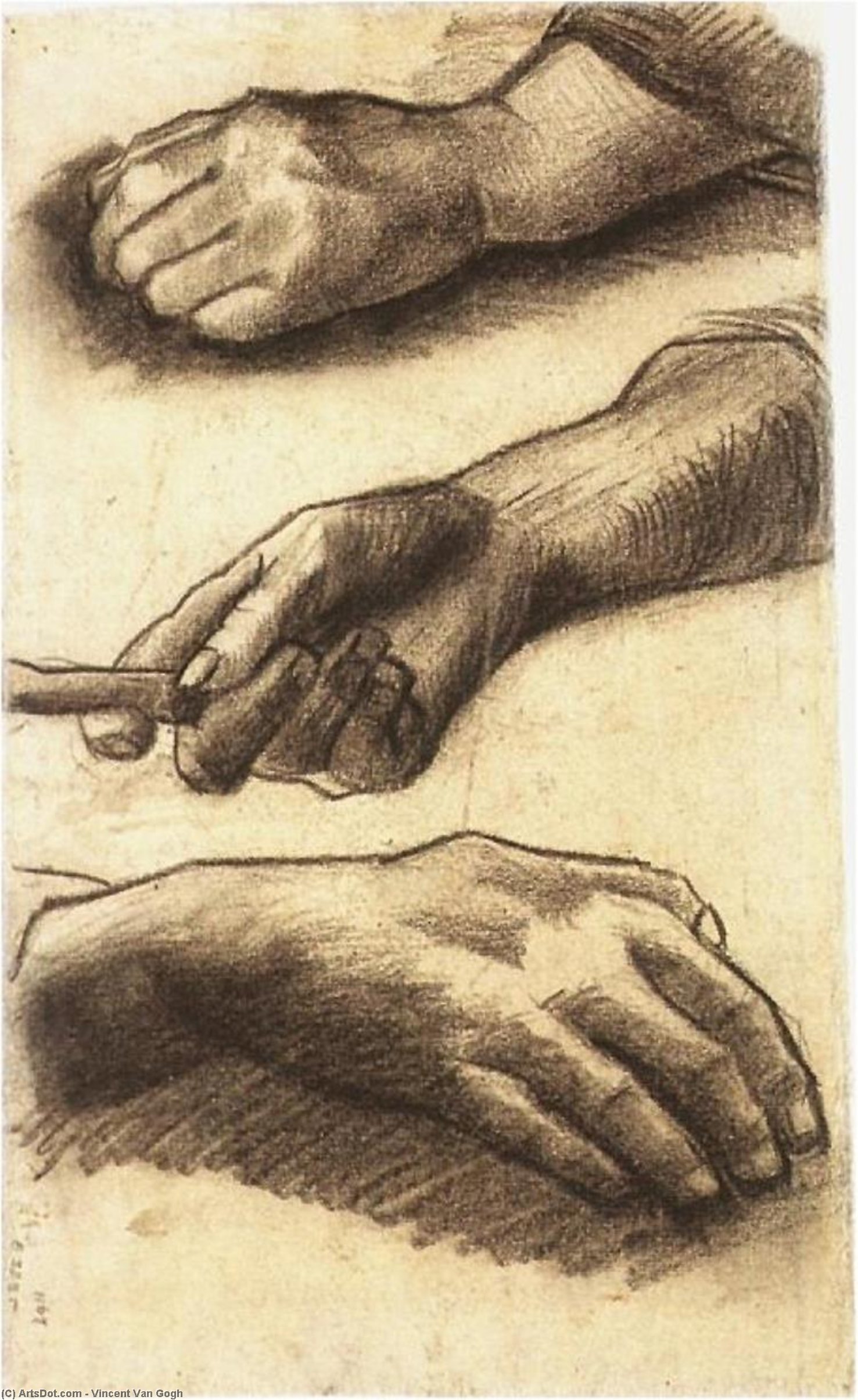 WikiOO.org - Encyclopedia of Fine Arts - Lukisan, Artwork Vincent Van Gogh - Three Hands