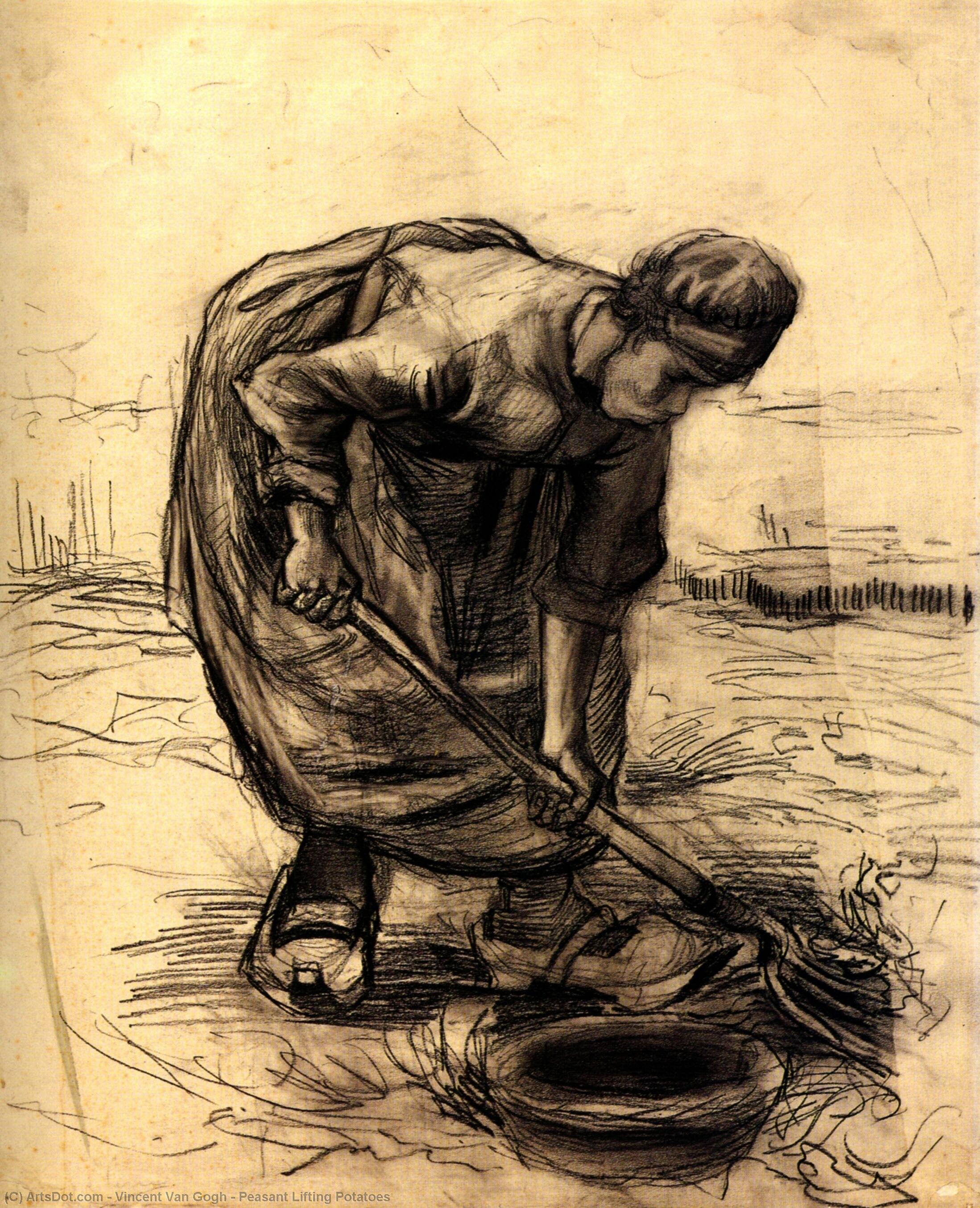 WikiOO.org - Enciklopedija likovnih umjetnosti - Slikarstvo, umjetnička djela Vincent Van Gogh - Peasant Lifting Potatoes