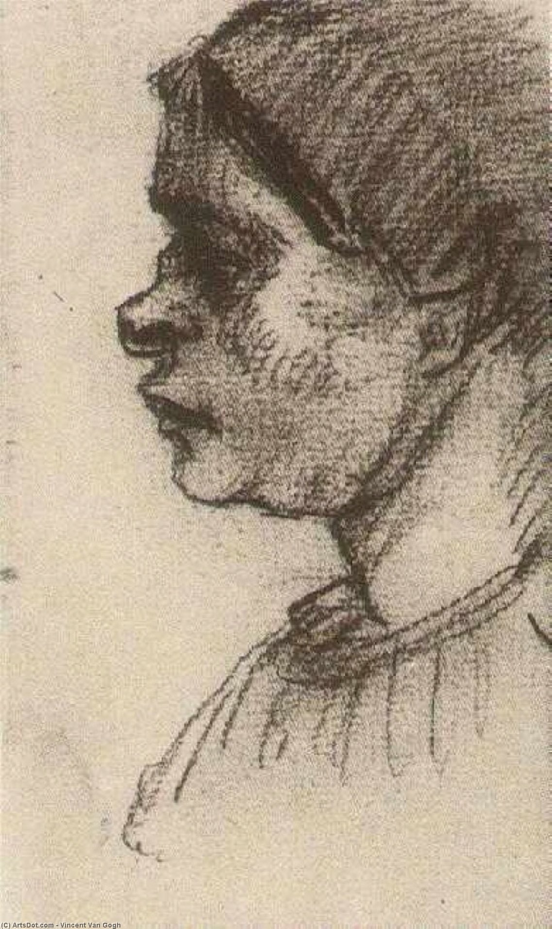 Wikioo.org - The Encyclopedia of Fine Arts - Painting, Artwork by Vincent Van Gogh - Peasant Woman, Head (15)