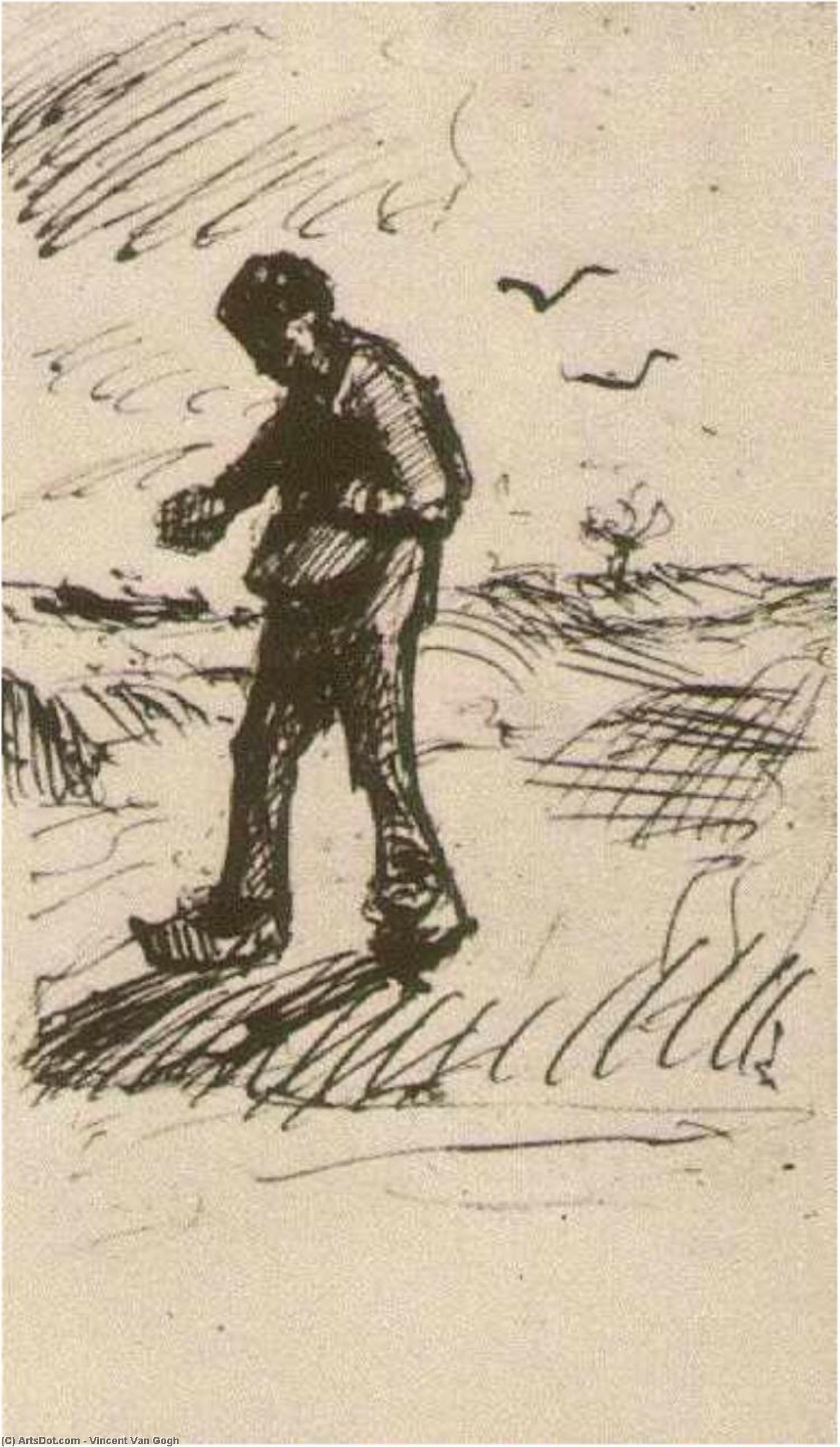 Wikioo.org - The Encyclopedia of Fine Arts - Painting, Artwork by Vincent Van Gogh - Sower Facing Left