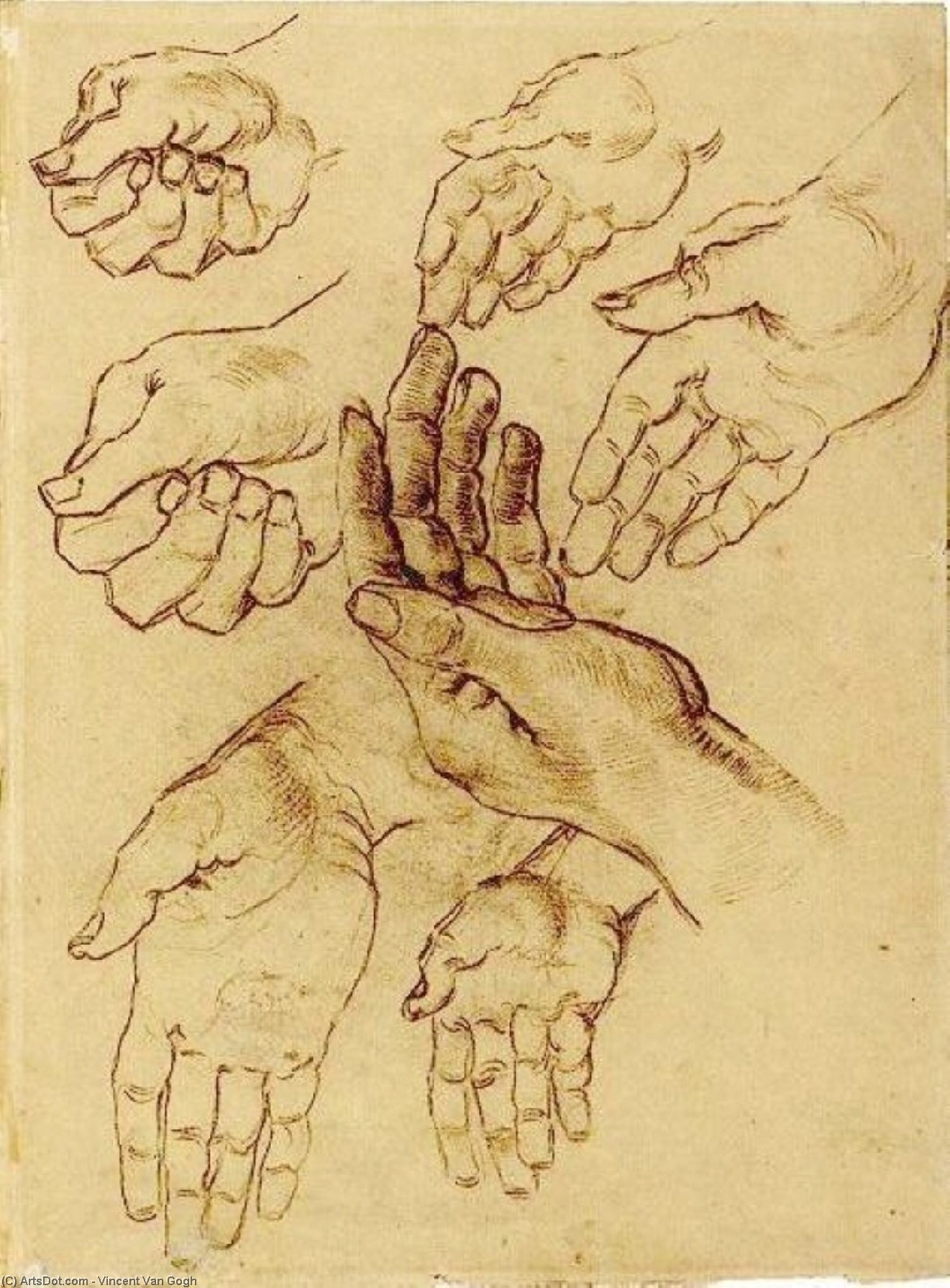 WikiOO.org - Enciklopedija likovnih umjetnosti - Slikarstvo, umjetnička djela Vincent Van Gogh - Study Sheet with Seven Hands