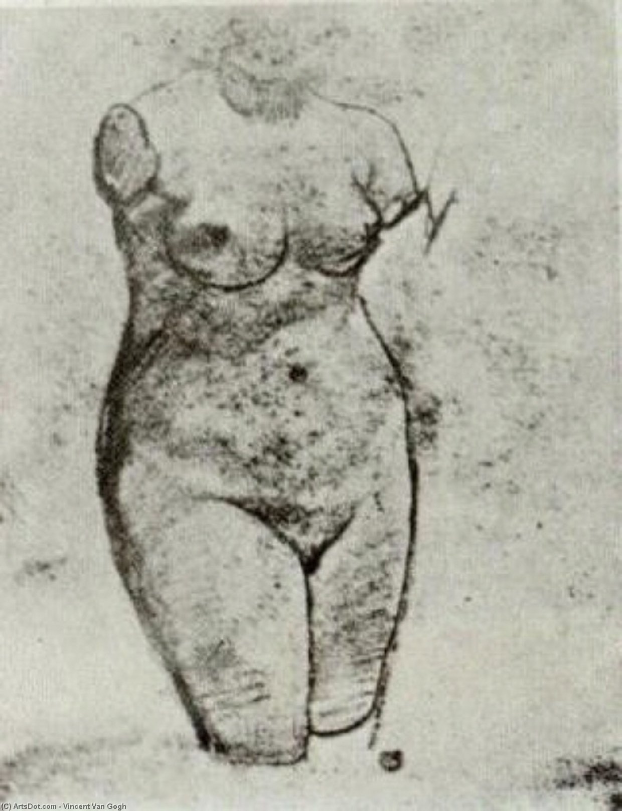 Wikioo.org - The Encyclopedia of Fine Arts - Painting, Artwork by Vincent Van Gogh - Plaster Torso of a Woman
