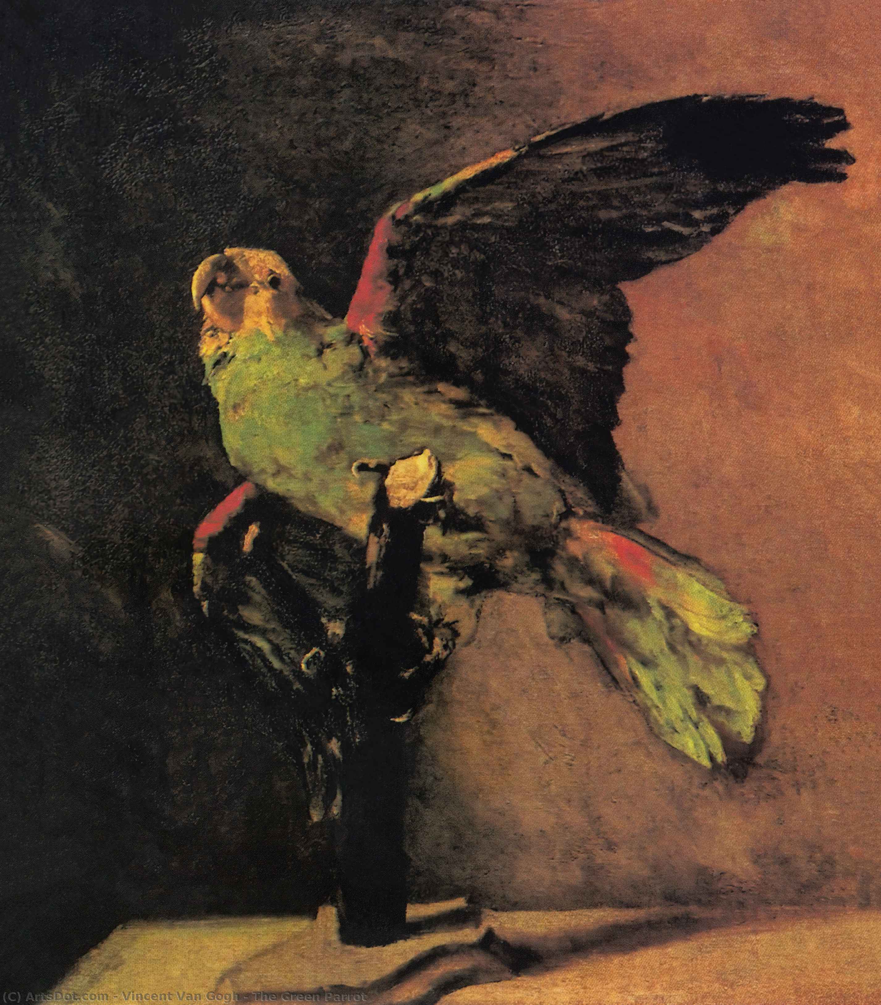 WikiOO.org – 美術百科全書 - 繪畫，作品 Vincent Van Gogh - 绿色的 鹦鹉