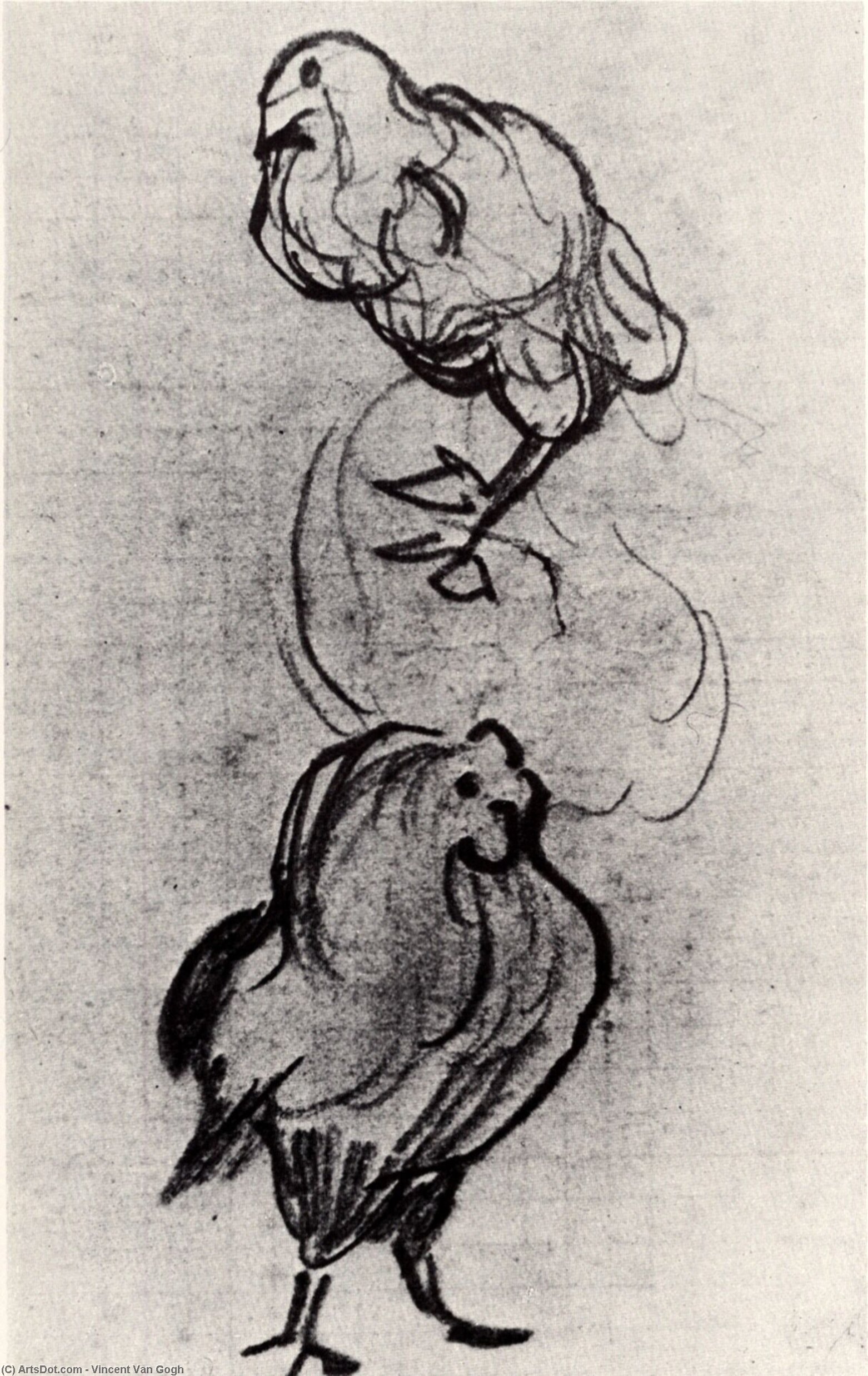 Wikioo.org - Bách khoa toàn thư về mỹ thuật - Vẽ tranh, Tác phẩm nghệ thuật Vincent Van Gogh - Sketches of a Hen and a Cock