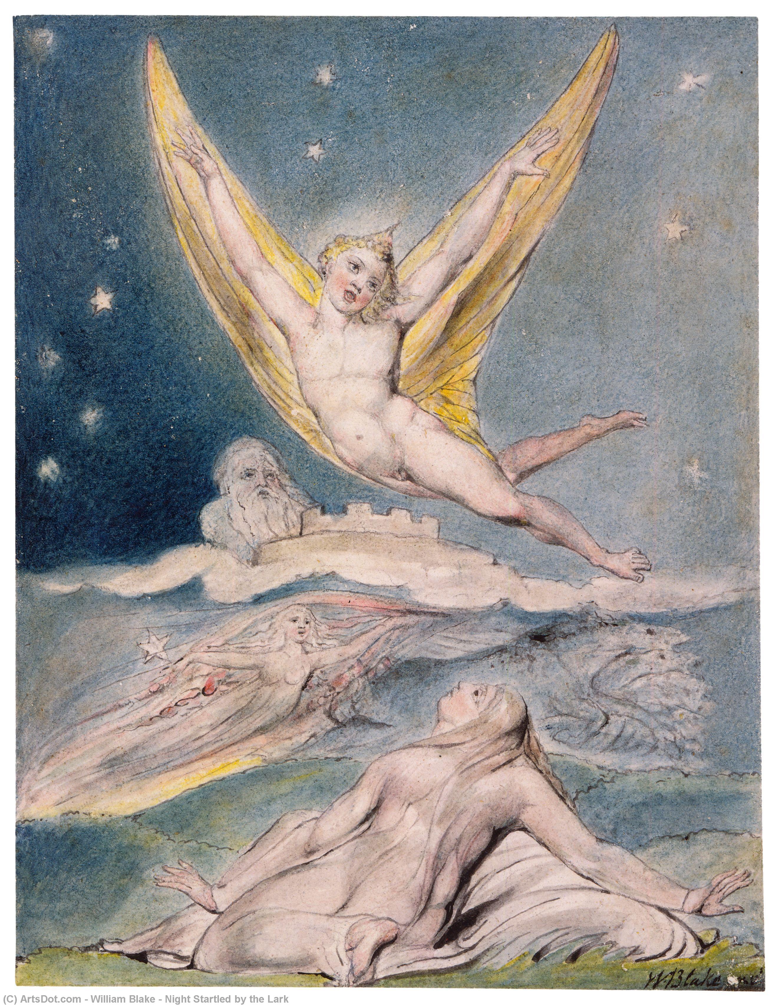 WikiOO.org - Encyclopedia of Fine Arts - Maleri, Artwork William Blake - Night Startled by the Lark