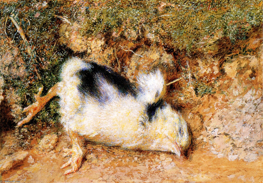 Wikioo.org - The Encyclopedia of Fine Arts - Painting, Artwork by William Holman Hunt - John Ruskin's dead chick