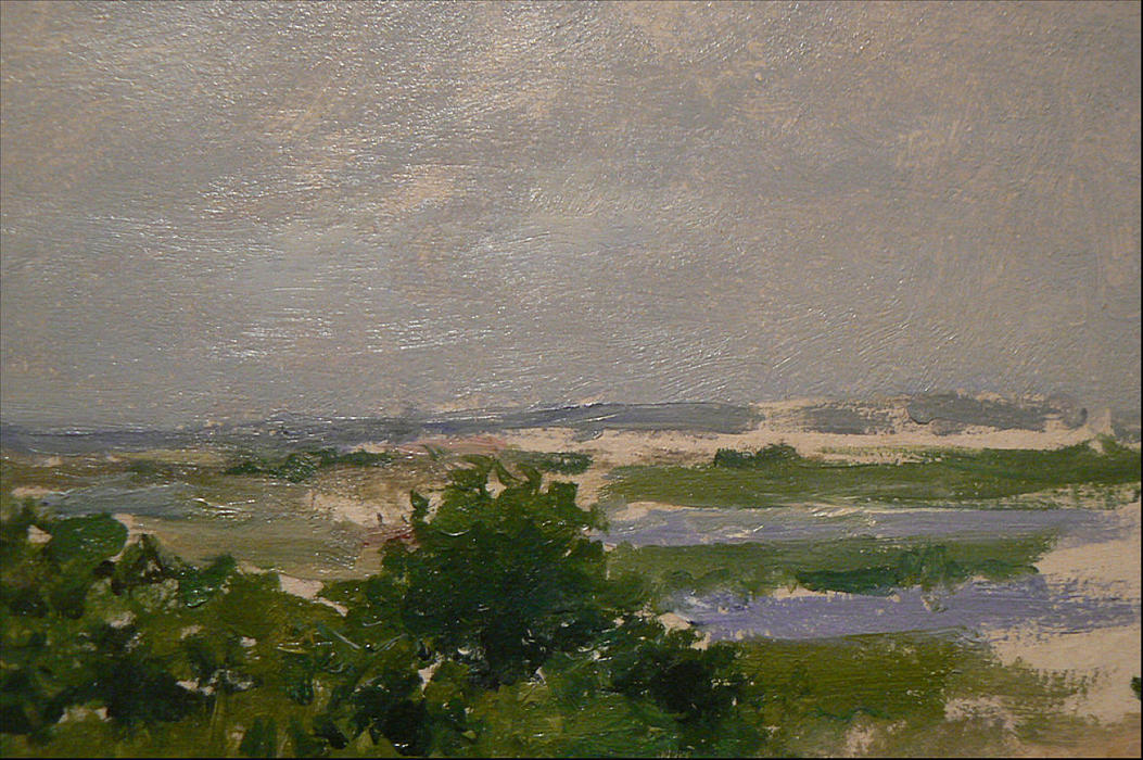 Wikioo.org - The Encyclopedia of Fine Arts - Painting, Artwork by William Merritt Chase - Shinnecock Hills (A View of Shinnecock)