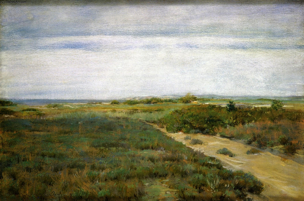 Wikioo.org - The Encyclopedia of Fine Arts - Painting, Artwork by William Merritt Chase - Near the Sea (aka Shinnecock)