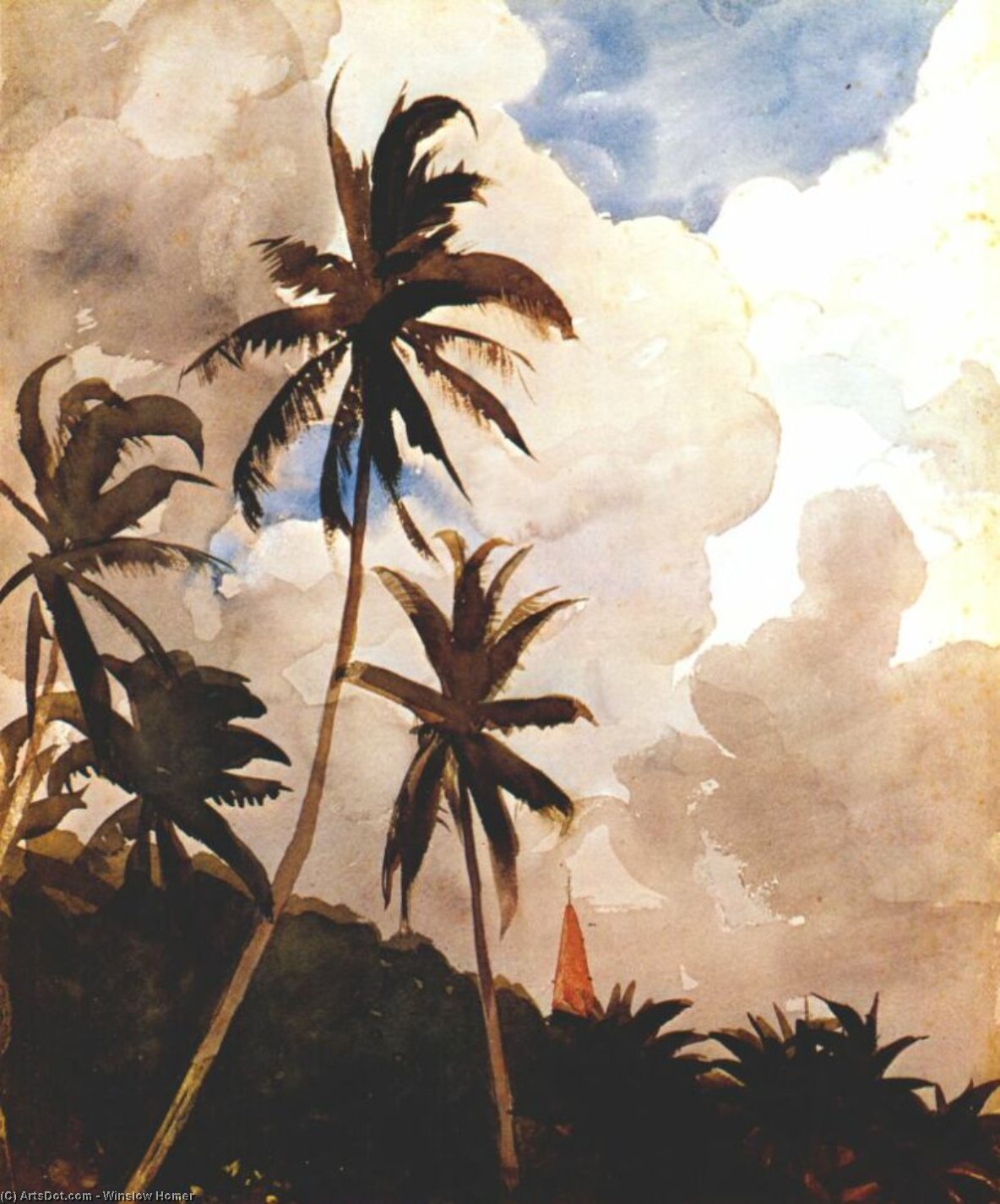 Wikioo.org - The Encyclopedia of Fine Arts - Painting, Artwork by Winslow Homer - Palm trees (Bahamas)