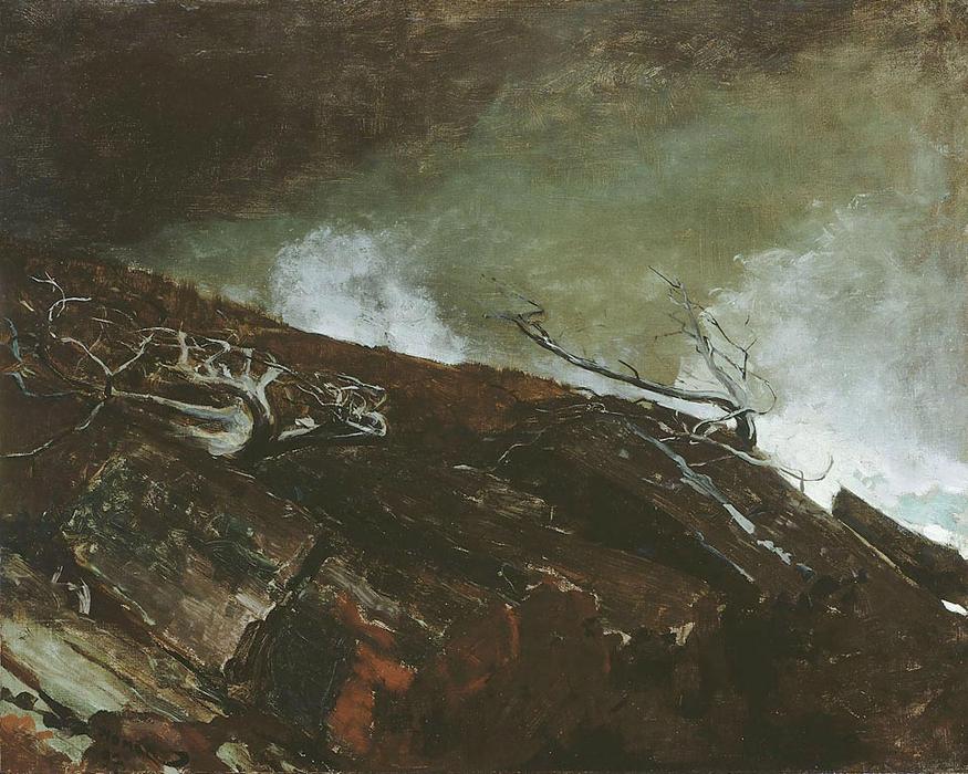 WikiOO.org - Güzel Sanatlar Ansiklopedisi - Resim, Resimler Winslow Homer - Coast of Maine