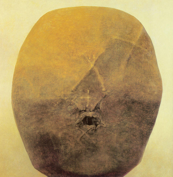 Wikioo.org - สารานุกรมวิจิตรศิลป์ - จิตรกรรม Zdislav Beksinski - Untitled (206)