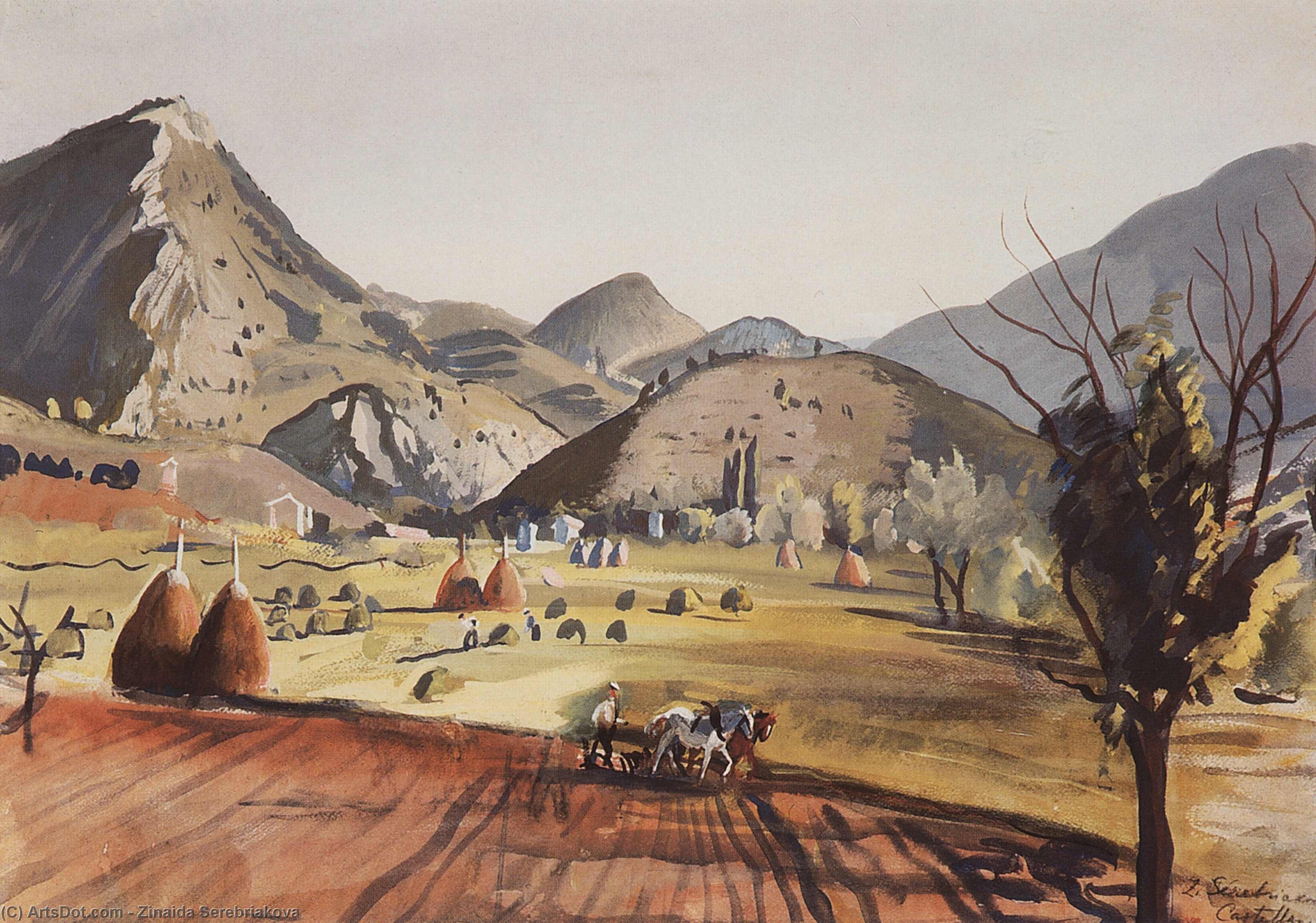 Wikioo.org - The Encyclopedia of Fine Arts - Painting, Artwork by Zinaida Serebriakova - Castellan. Valley