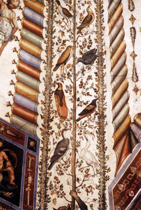 Wikioo.org – La Enciclopedia de las Bellas Artes - Pintura, Obras de arte de Alessandro Allori - Fresco decoración ( detalle )