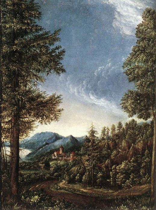 WikiOO.org - Encyclopedia of Fine Arts - Maleri, Artwork Albrecht Altdorfer - Danubian Landscape