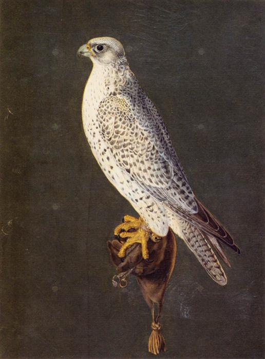 Wikioo.org - สารานุกรมวิจิตรศิลป์ - จิตรกรรม Giuseppe Arcimboldo - Birds
