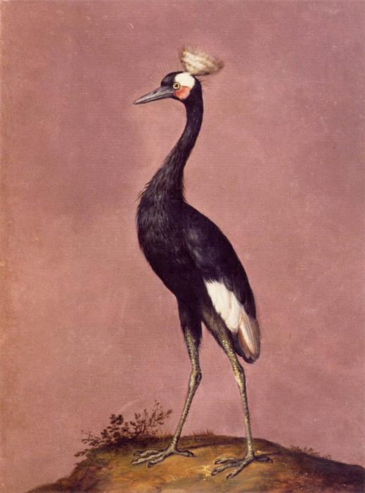 WikiOO.org - Εγκυκλοπαίδεια Καλών Τεχνών - Ζωγραφική, έργα τέχνης Giuseppe Arcimboldo - Birds