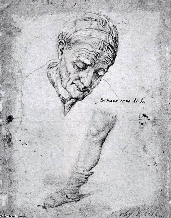 Wikioo.org - The Encyclopedia of Fine Arts - Painting, Artwork by Antonio Campi - Studies of an Old Woman's Face and a Leg