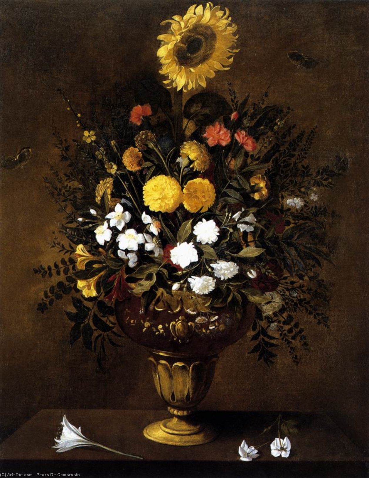 WikiOO.org - Enciklopedija dailės - Tapyba, meno kuriniai Pedro De Camprobín - Vase of Flowers