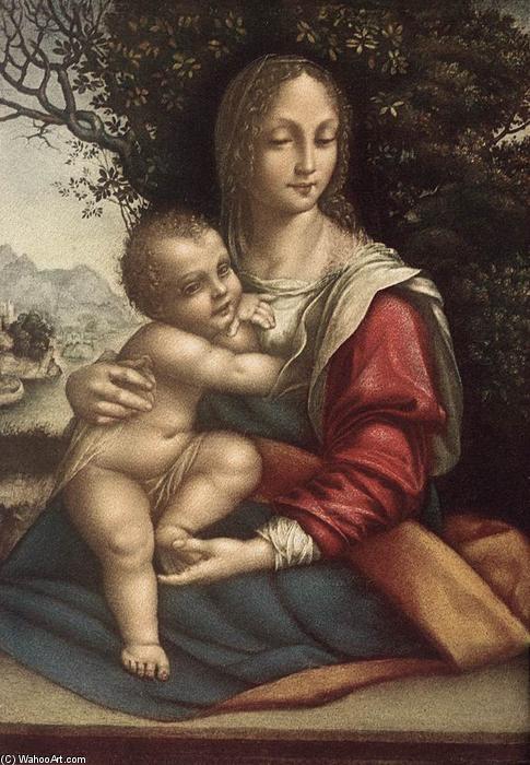 Wikioo.org - The Encyclopedia of Fine Arts - Painting, Artwork by Cesare Da Sesto - Madonna and Child