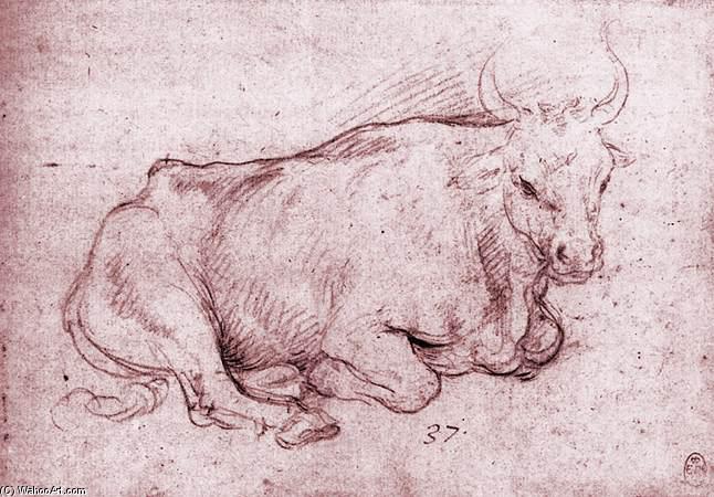 WikiOO.org - Encyclopedia of Fine Arts - Lukisan, Artwork Cesare Da Sesto - Seated Bull