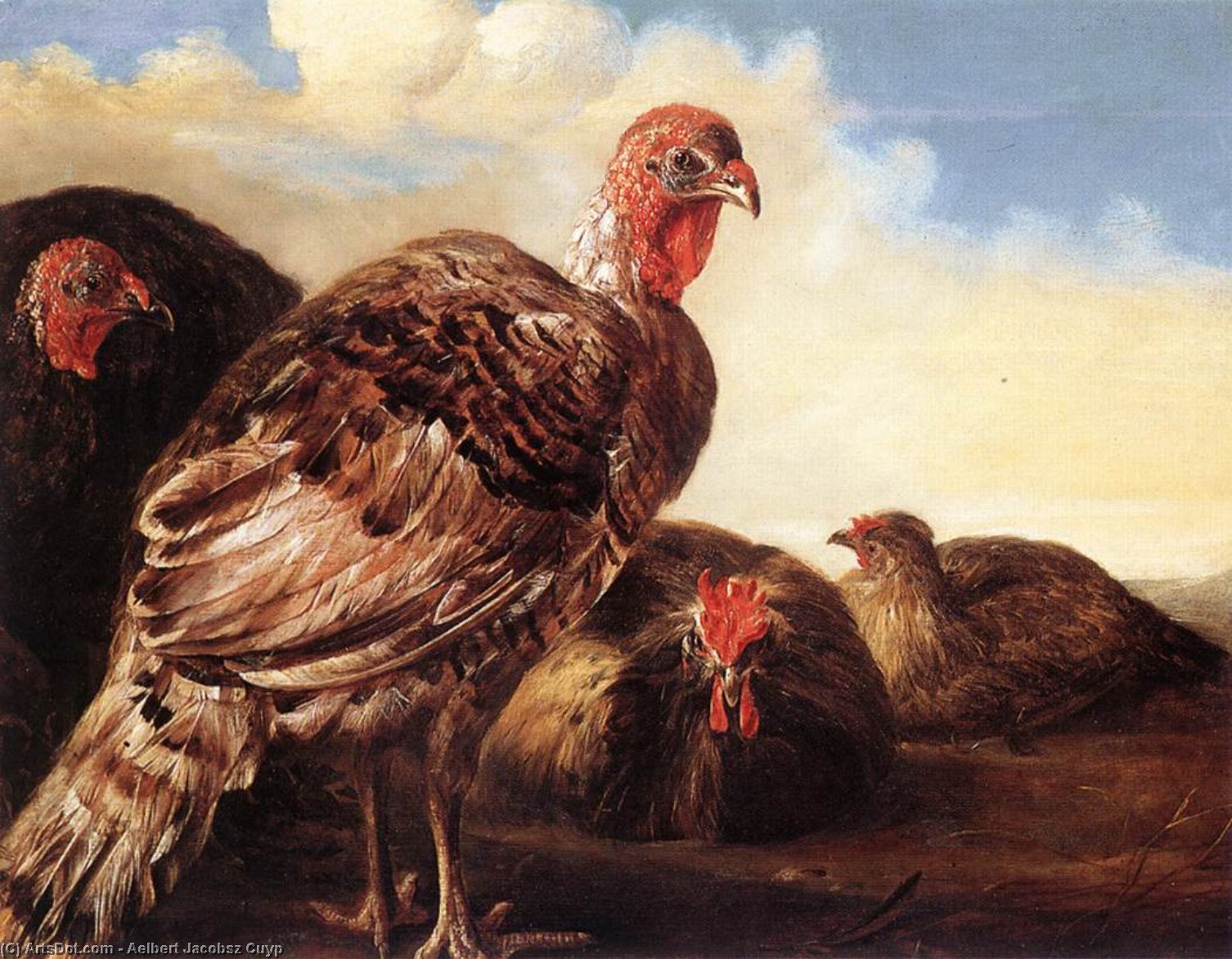 Wikioo.org - The Encyclopedia of Fine Arts - Painting, Artwork by Aelbert Jacobsz Cuyp - Domestic Fowl