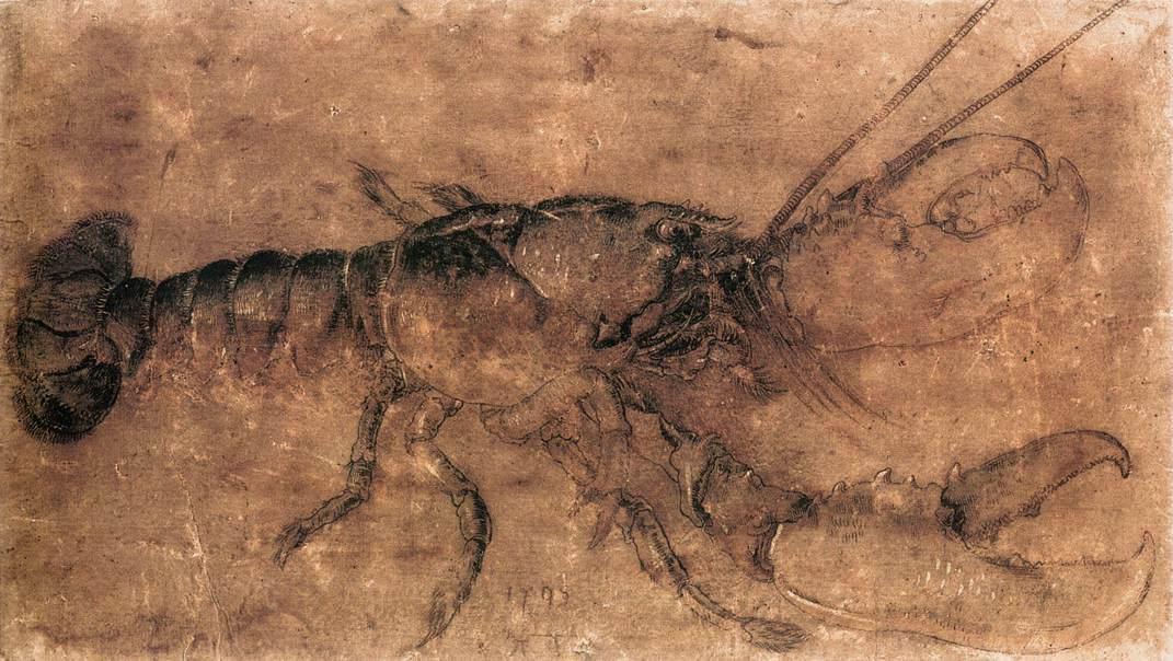 WikiOO.org - Encyclopedia of Fine Arts - Lukisan, Artwork Albrecht Durer - Lobster
