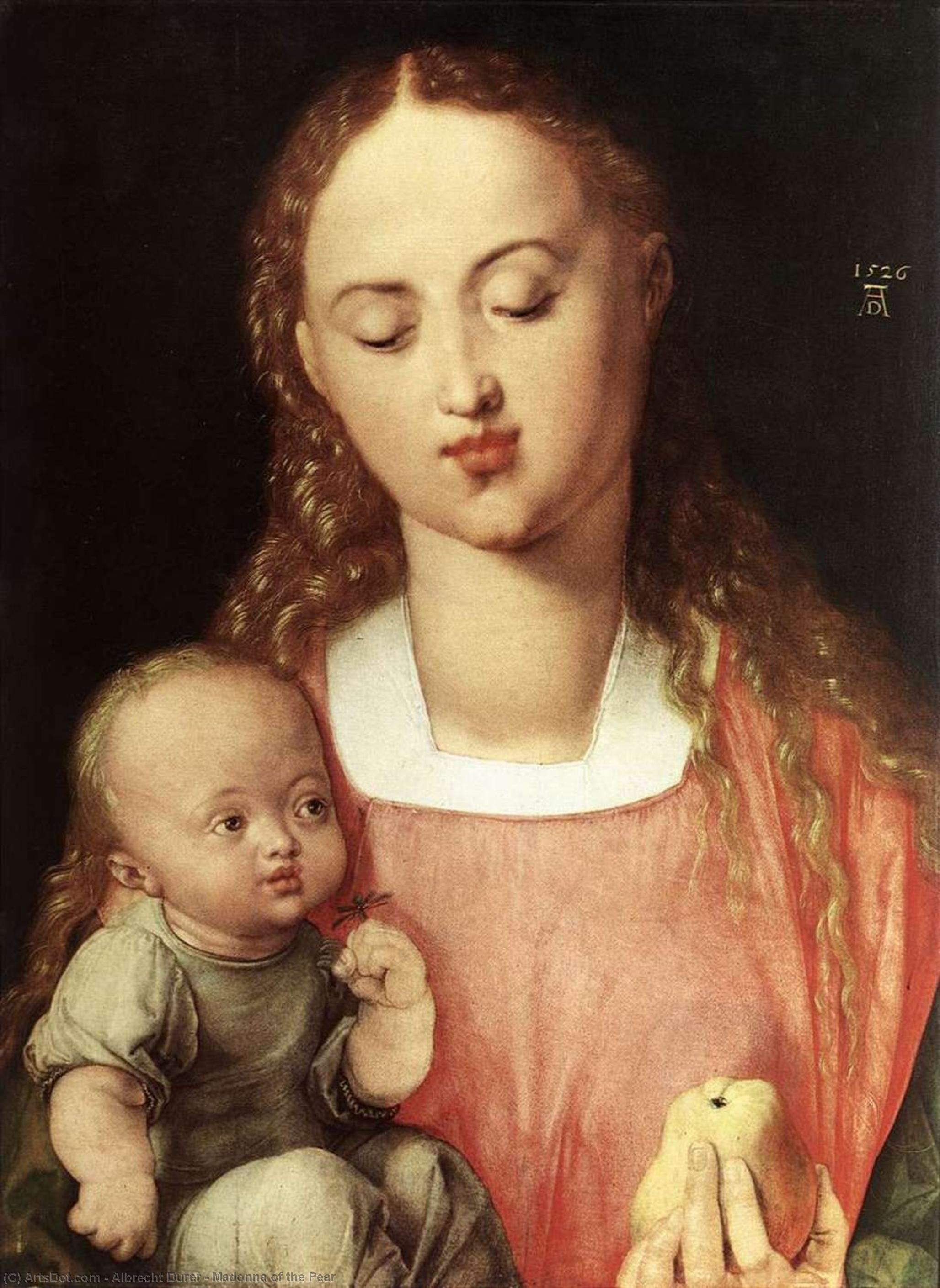 Wikioo.org - The Encyclopedia of Fine Arts - Painting, Artwork by Albrecht Durer - Madonna of the Pear