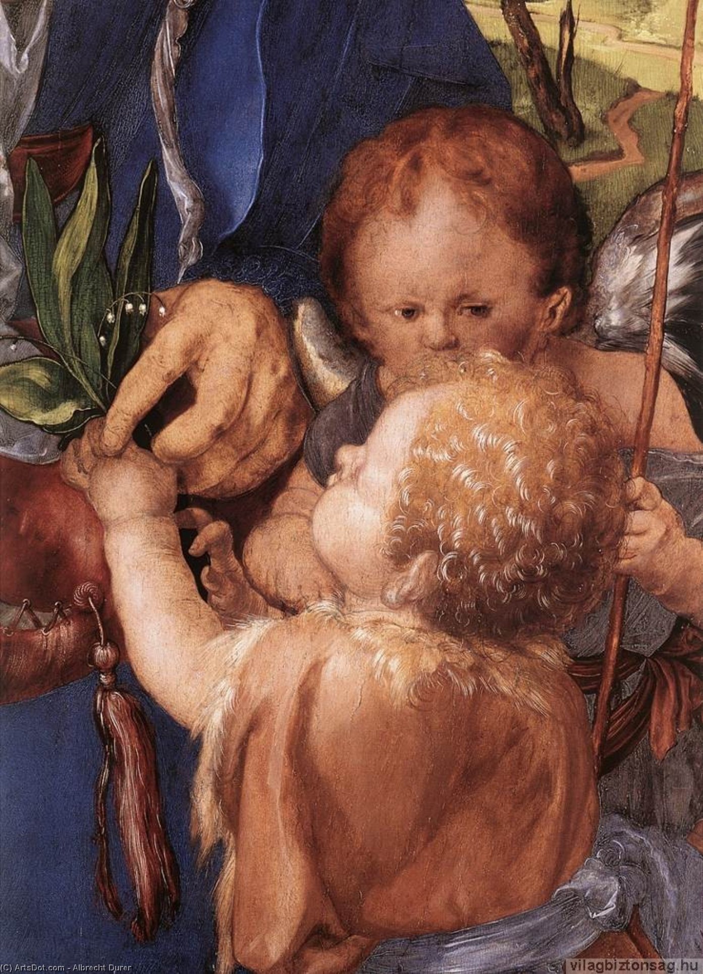 Wikioo.org - Bách khoa toàn thư về mỹ thuật - Vẽ tranh, Tác phẩm nghệ thuật Albrecht Durer - Madonna with the Siskin (detail)