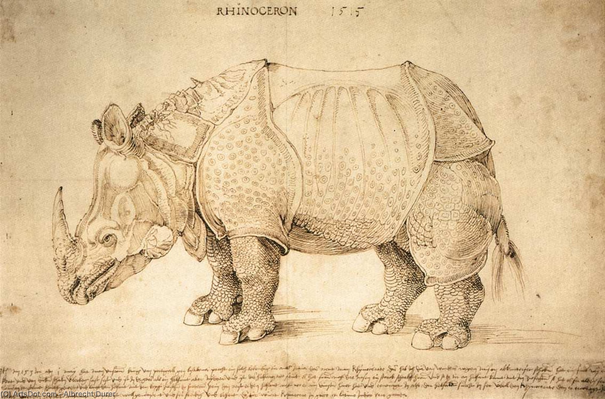 WikiOO.org - Encyclopedia of Fine Arts - Lukisan, Artwork Albrecht Durer - Rhinoceros
