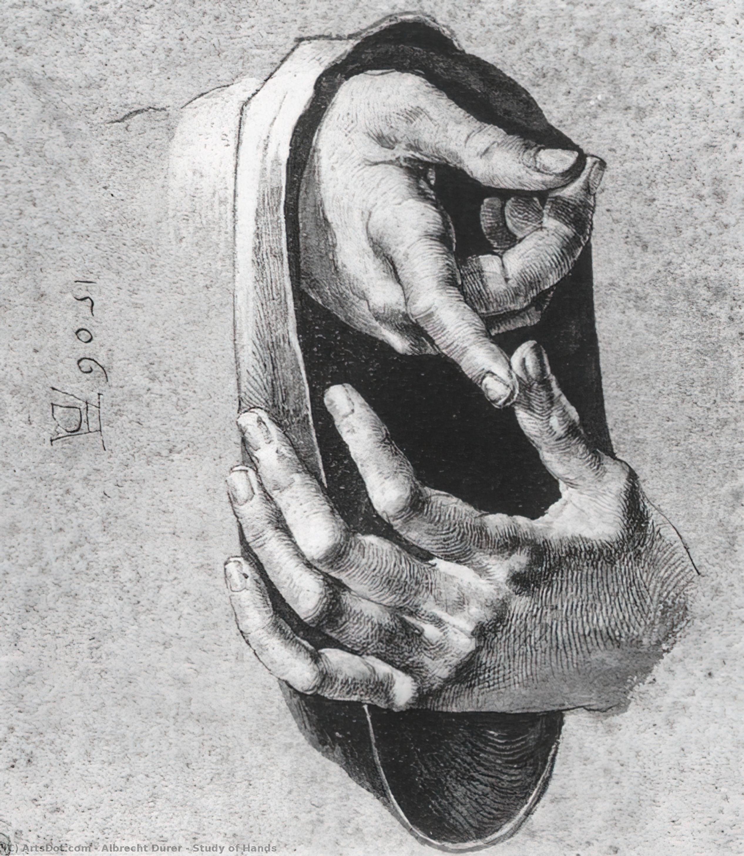 WikiOO.org - Енциклопедія образотворчого мистецтва - Живопис, Картини
 Albrecht Durer - Study of Hands