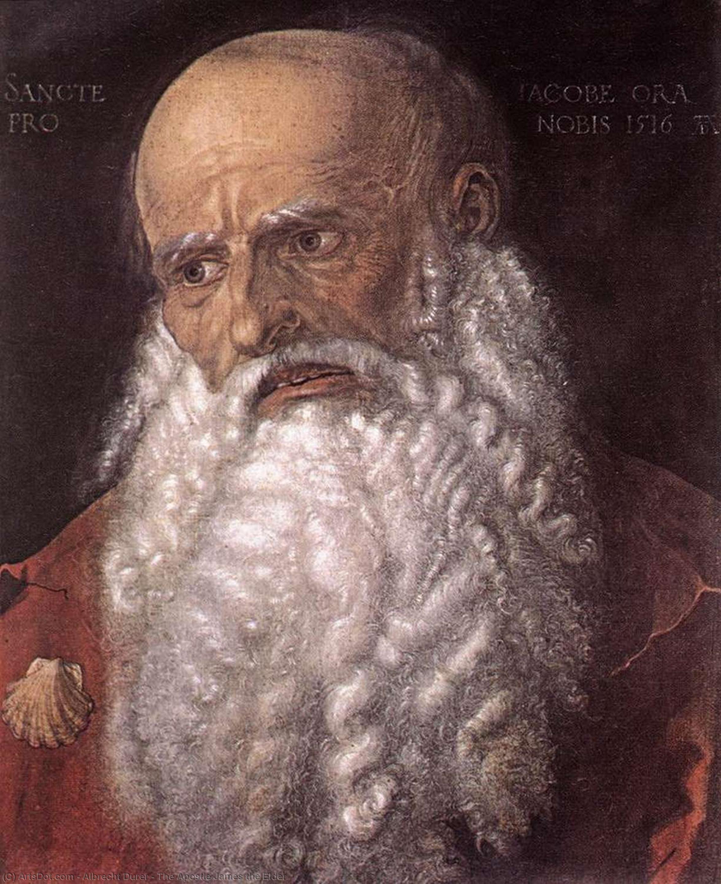 Wikioo.org – La Enciclopedia de las Bellas Artes - Pintura, Obras de arte de Albrecht Durer - el apóstol santiago el  ñaño