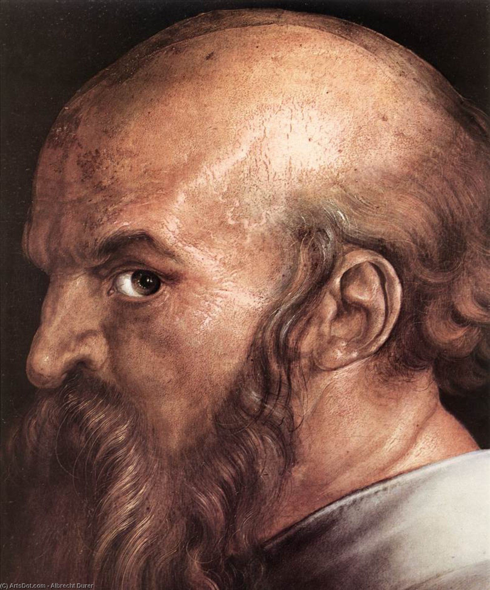 Wikioo.org – La Enciclopedia de las Bellas Artes - Pintura, Obras de arte de Albrecht Durer - Los cuatro hombres santos Detalle