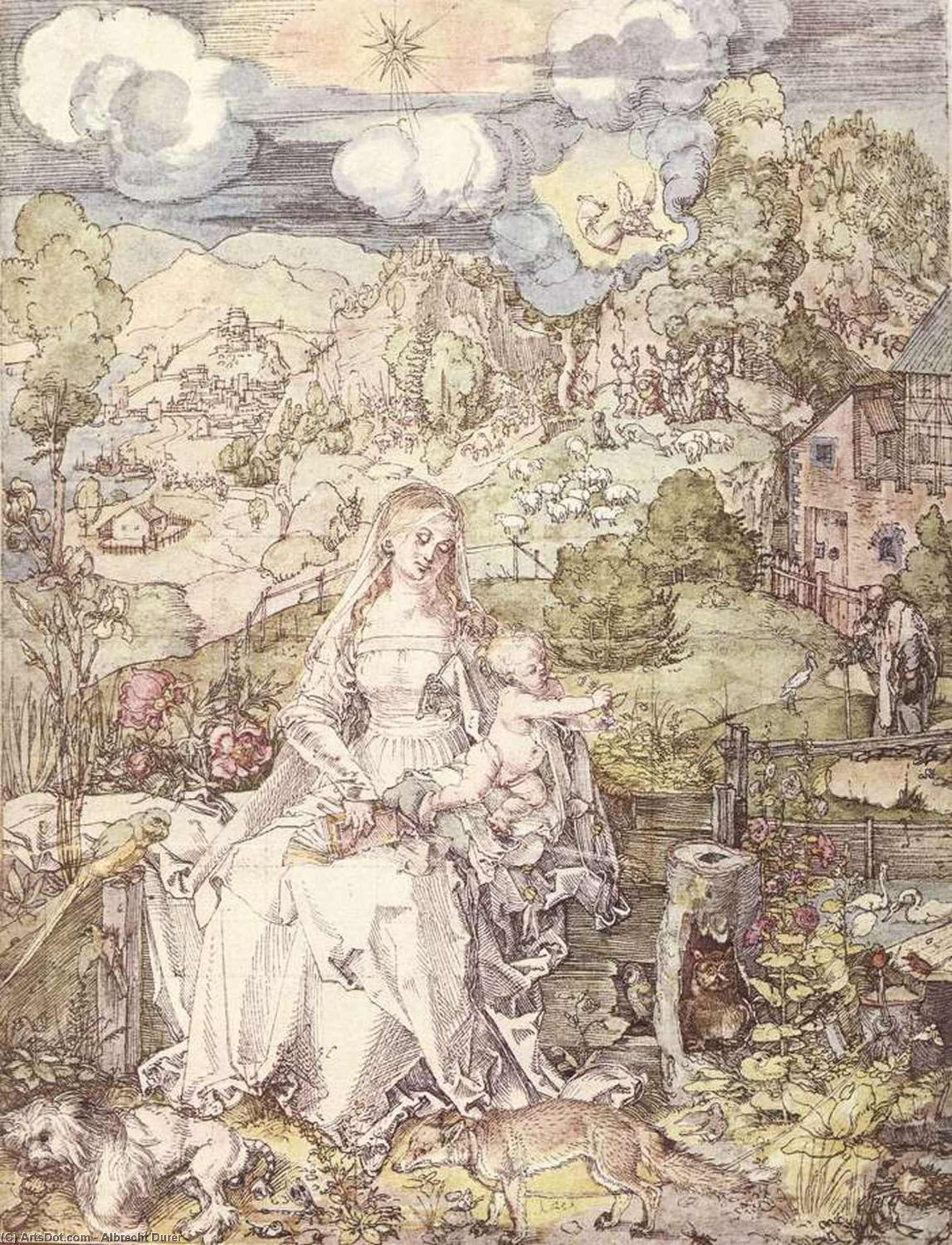 WikiOO.org - Encyclopedia of Fine Arts - Lukisan, Artwork Albrecht Durer - The Virgin among a Multitude of Animals
