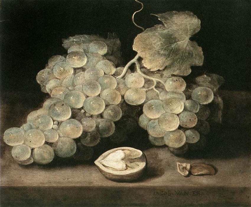 Wikioo.org - The Encyclopedia of Fine Arts - Painting, Artwork by Jacob Foppens Van Es - Grape with Walnut