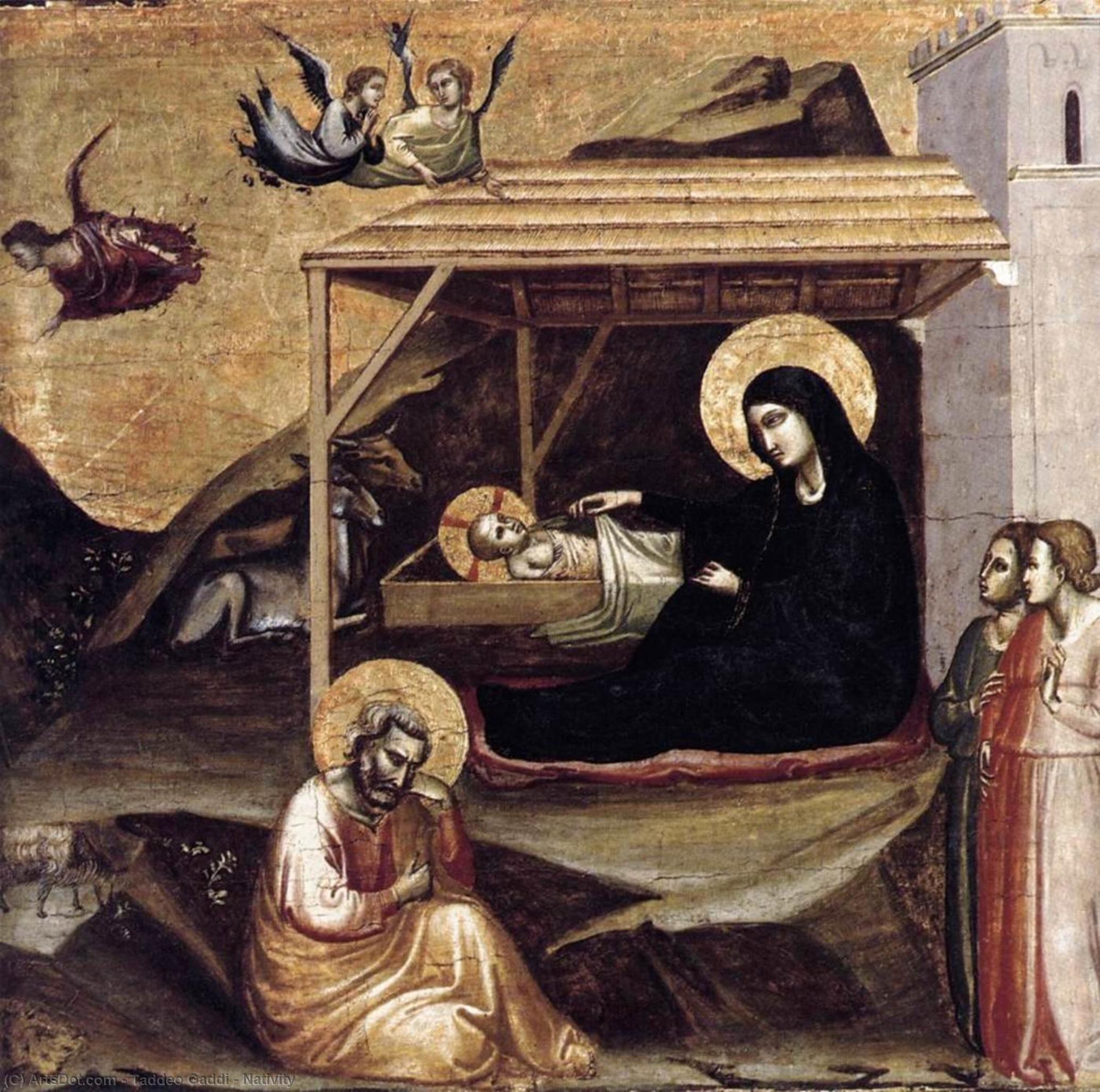 WikiOO.org - 백과 사전 - 회화, 삽화 Taddeo Gaddi - Nativity