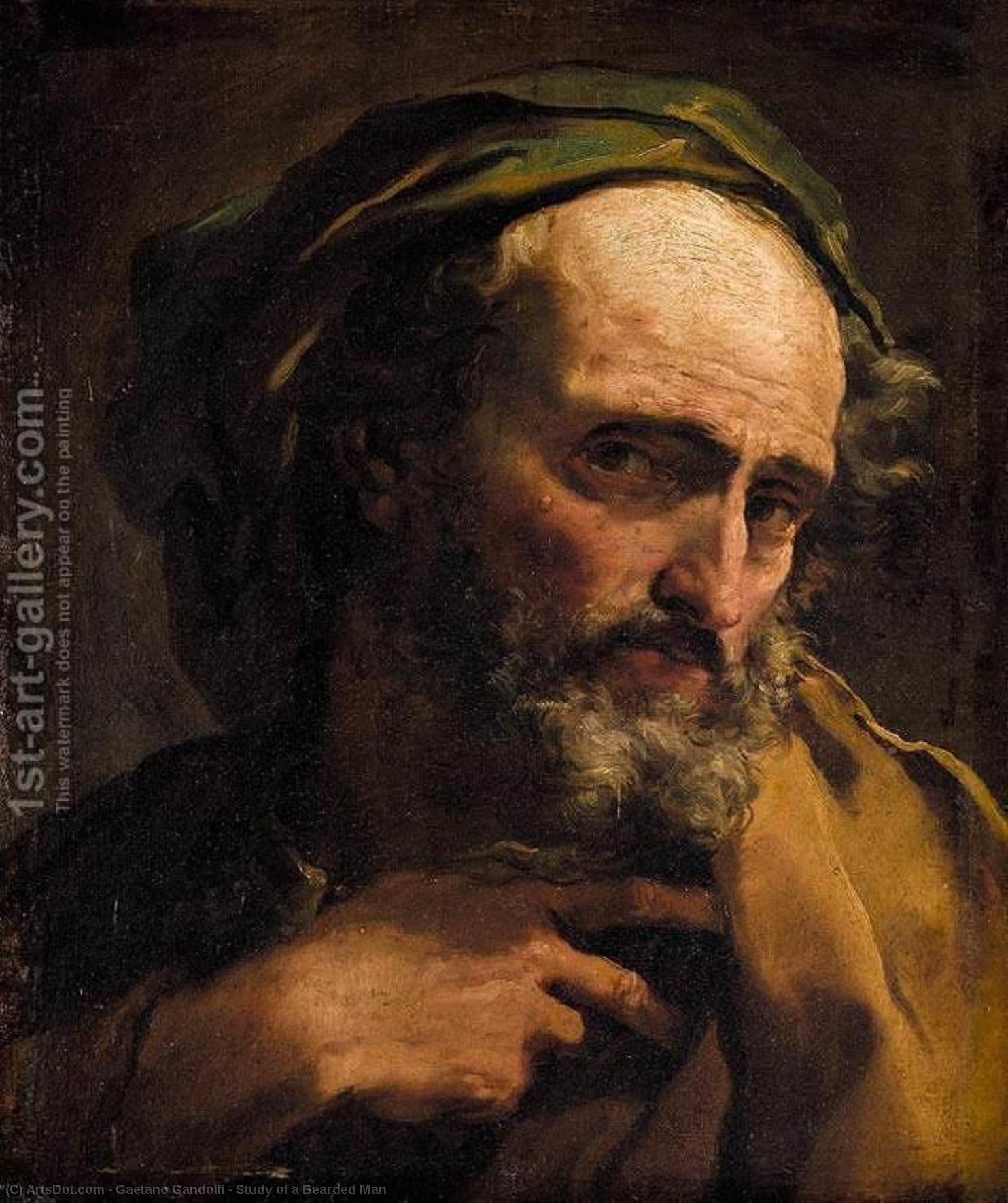 WikiOO.org - Güzel Sanatlar Ansiklopedisi - Resim, Resimler Gaetano Gandolfi - Study of a Bearded Man