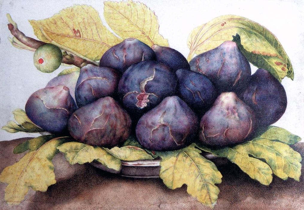 Wikioo.org - The Encyclopedia of Fine Arts - Painting, Artwork by Giovanna Garzoni - Plate of Figs