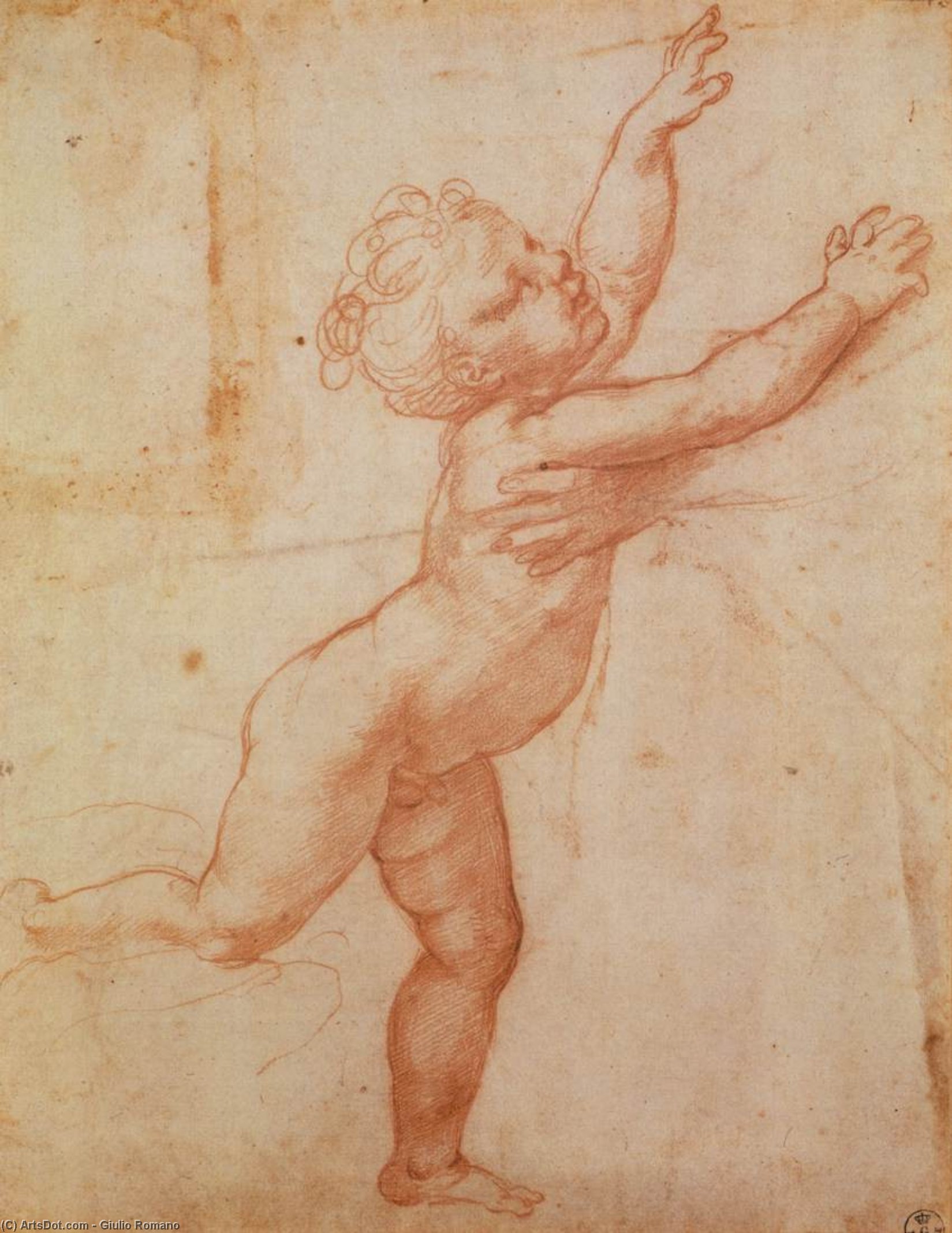 Wikioo.org - The Encyclopedia of Fine Arts - Painting, Artwork by Giulio Romano - Nude Child with Open Arms
