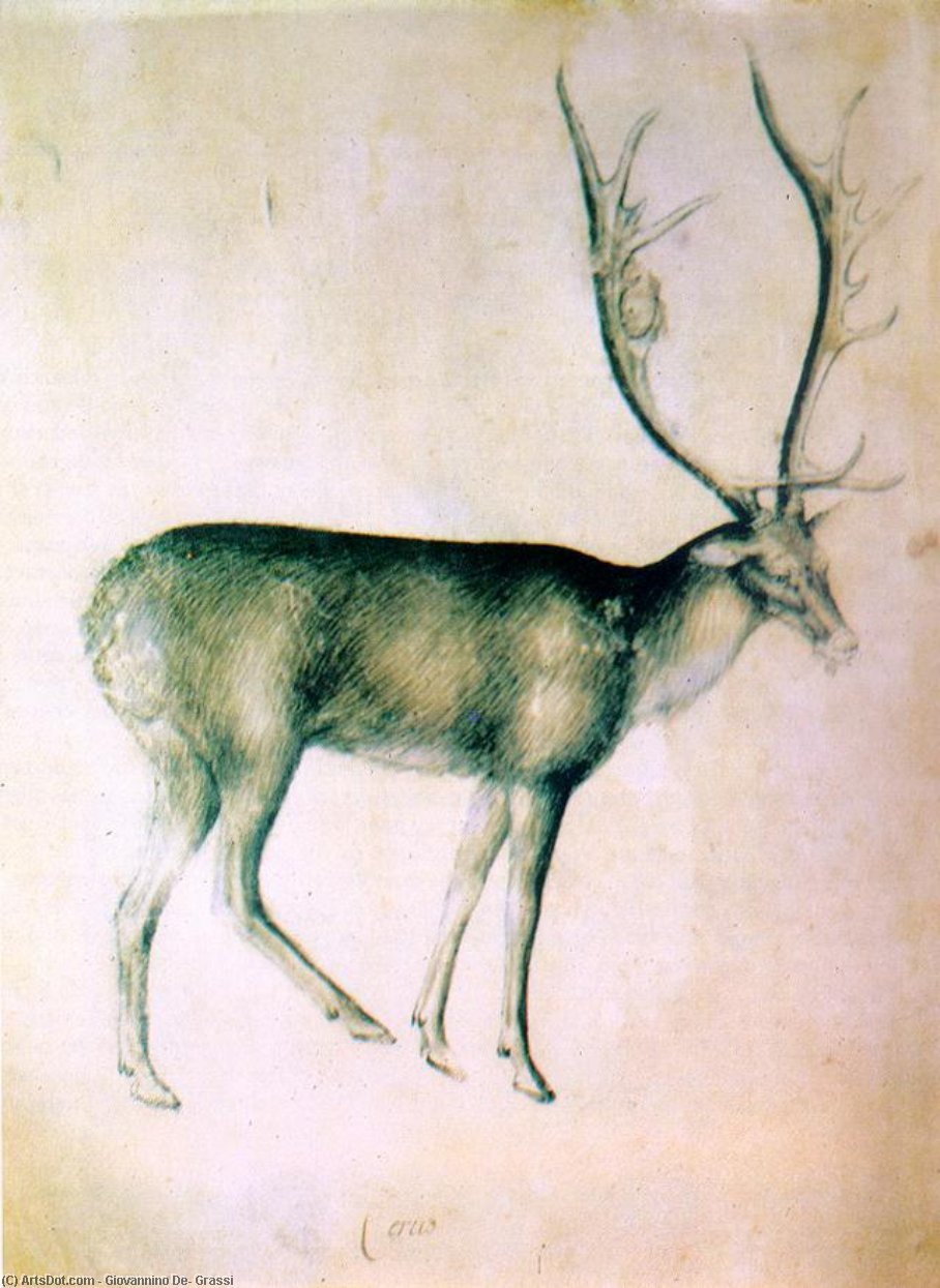 Wikioo.org - The Encyclopedia of Fine Arts - Painting, Artwork by Giovannino De' Grassi - Stag (from a sketch-book)
