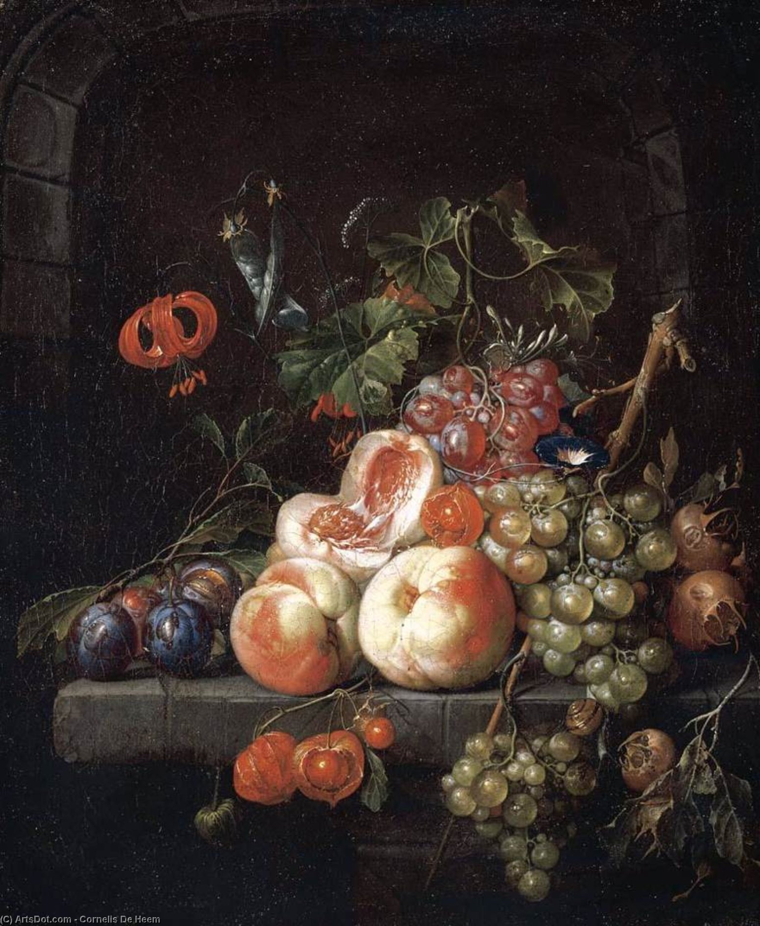 Wikioo.org - The Encyclopedia of Fine Arts - Painting, Artwork by Cornelis De Heem - Still-Life of Fruit