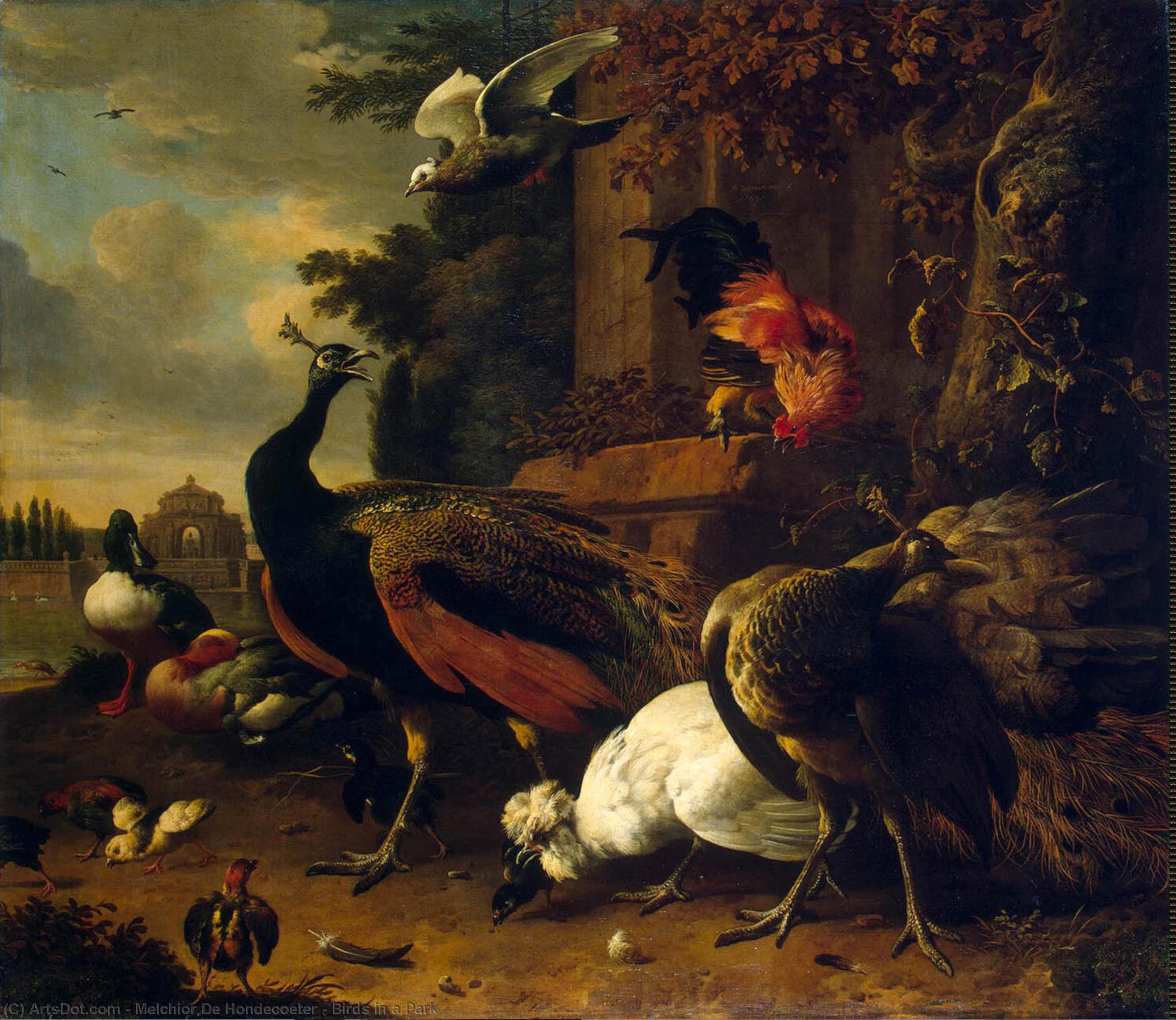 WikiOO.org – 美術百科全書 - 繪畫，作品 Melchior De Hondecoeter - 鸟类 一个  公园